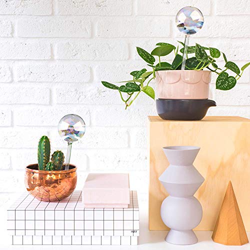 Tomorotec 2Pcs Rainbow Glass Plant Watering Globes, Self Watering Spikes - color: Iridescent 2-Pack