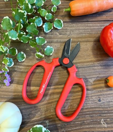 Garden Pruning Shears Scissors With Carbon Steel Blades 6.7 In, Amaryllis - Red - style: 6.7 inch Red