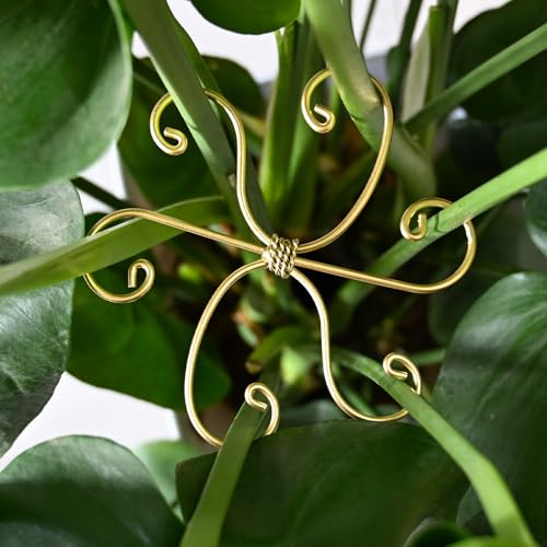 5PCS Monstera Plant Stem Support Stakes - 5.5 in Metal Supports - size: 5.5 x 5.5 inches