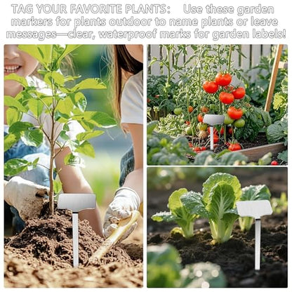 304 Stainless Steel Plant Label, 10 Waterproof Metal Plant Label Stakes and Marker Pen, 7.87" Garden Markers for Outdoor Indoor Plants Identification. - size: 7.87inch