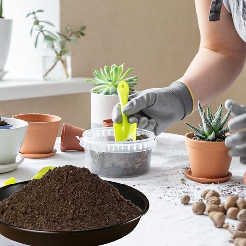 12 Inch Plastic Classic Plant Saucer, 6 Pack Plant Trays for Pots, Extra-Deep Plant Water Dray Tray, 12",Black - color: Black, size: 12"(6Pack)