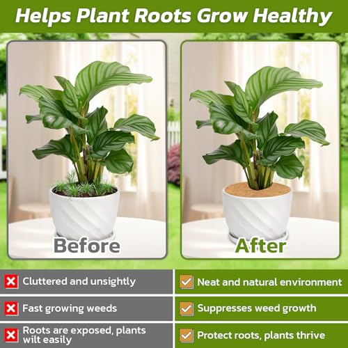 Legigo 20 Pack Coconut Fiber Mulch Ring Tree Plant Protector Mat, 11.8 Inch - color: 20 Pack, size: 11.8 Inch