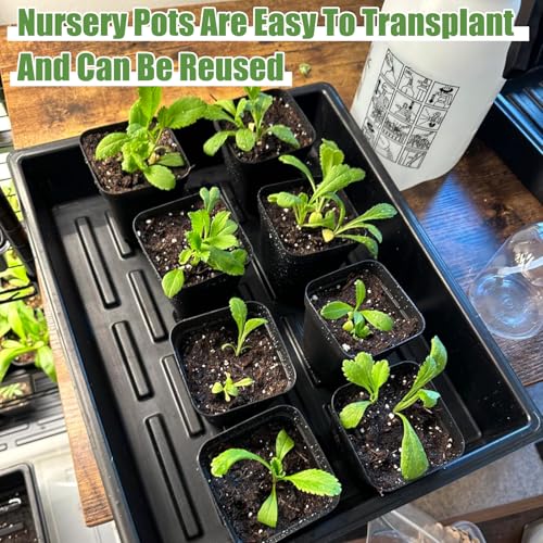 mwellewm 5 Pcs Seed Starter Tray, 3.5 Inch (9CM) 60 Pcs Nursery Pots Kit, Thickened Seed Starting Trays Square Seedling Pots for Plants Sturdy Microgreens Growing Trays Reusable Germination Tray - size: 3.5'' Pots-60pcs + 15.2" x 11" x 2.6" Trays-5Pcs