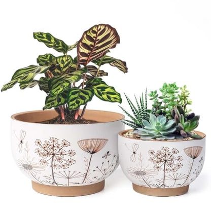 Terracotta Pots, 8+6 Inch Plant Pots, 2 Pcs with Drainage Holes - color: Gadern, size: 8+6 Inch