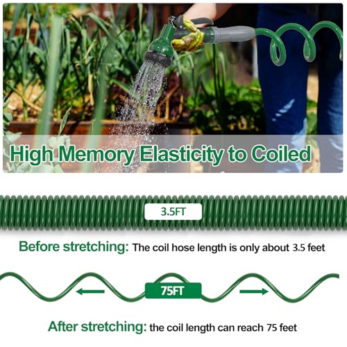 SPECILITE 3/8" Lightweight Coil Garden Hose 75 FT, EVA Flexible Water Hose - color: Green, size: 75FT