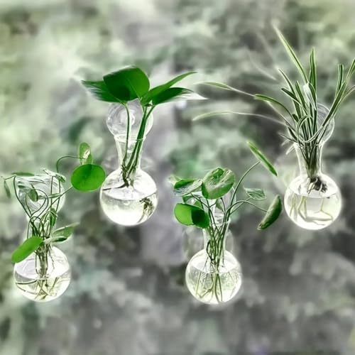 4 PCS Gourd Shaped Hanging Glass Planter, Wall Mounted Water Plant Propagation Vase, Transparent Hydroponic Plant Tube for Ivy, Pothos & Greenery Decor - color: Lucency