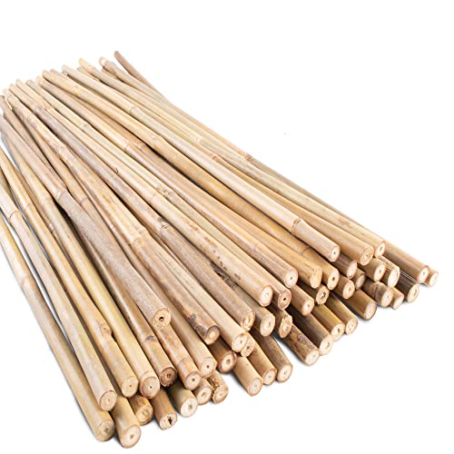 50Pcs Garden Stakes, 0.32”/ 2Feet Bamboo Sticks，Natural Plant Stakes for Indoor and Outdoor Plants，Poles for Tomatoes, Beans, Potted Plants… - size: 2Ft,Pack of 50