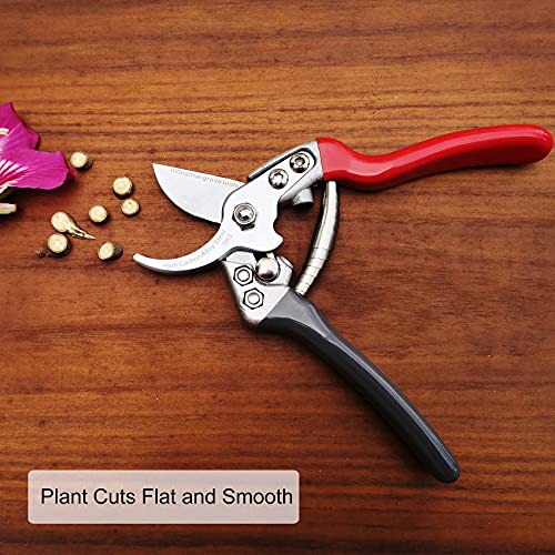 TONMA 7.5" Garden Scissors, Made in Japan, Pruning Shears & Clippers, TP-3 - size: 7.5 inches
