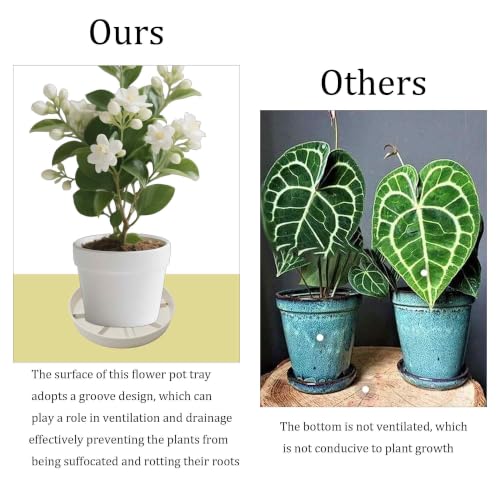 2Pcs 6 Inch Plant Saucer Drip Tray, Clear Plastic Flower Pot Saucers, Thicker Anti-Rot Root Water Catcher Tray for Indoor Outdoor Planters, Heavy Sturdy Pot Base Plate Beige - color: Beige