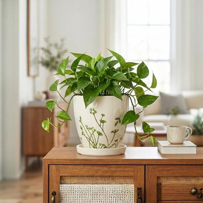 MPotTo 6 Inch Plant Pot, Ceramic Pots for Plants, Grasses White - color: Grasses White, size: 6 Inch