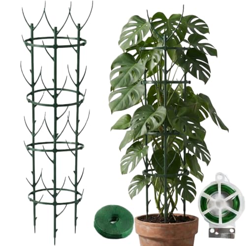 Plant Trellis Kit for Monstera Climbing Plant Support System Indoor