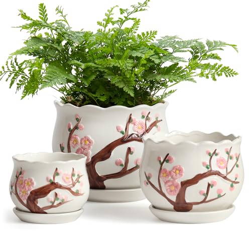 Ceramic Plant Pots with Drainage Holes and Saucers, Small Planters Set of 3 - color: White01