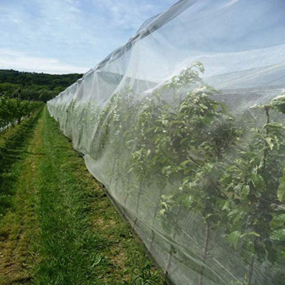 Garden Barrier Netting, Plant Covers 10x10Ft Ultra Fine Mesh Netting Protect for Vegetable Plants Fruits Flowers Crops Greenhouse Row Covers Raised Bed Barrier Screen Birds Protection Net (10x10ft) - size: 10ftx10ft