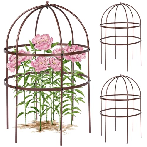 2 Pcs Jardin Bird Cage Plant Support 24" H Large Sturdy Grow-Through Flower Support Peony Cage Climbing Plant Support Trellis Sculptural Garden Decor for Perennial Flowers (Vintage Gold) - color: Vintage Gold, size: 2 Pcs