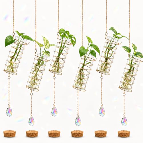 6 Pcs Hanging Propagation Stations with Crystal Suncatcher, Glass Hanging Planters for Indoor Plants, Hydroponic Plant Tubes for Windows & Home Decor, Colorful - color: Colorful