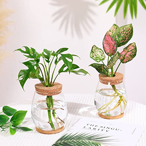 Plant Propagation Station,2 Pcs Glass Vases with Wooden Stand & Lid - size: 4.2" L x 4.2" W x 5.2"H
