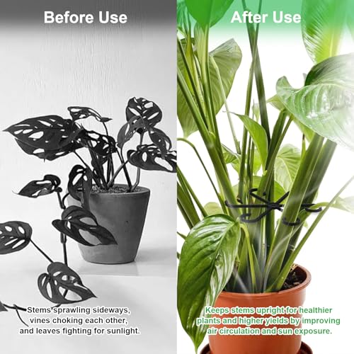 12pcs Climbing Houseplant Stem Supports,Plant stem Support Indoor Outdoor Use,Stem Hook Growth Accessories for Plant Garden, Promotes Upright Growth and Airflow(Black) - size: 12PCS