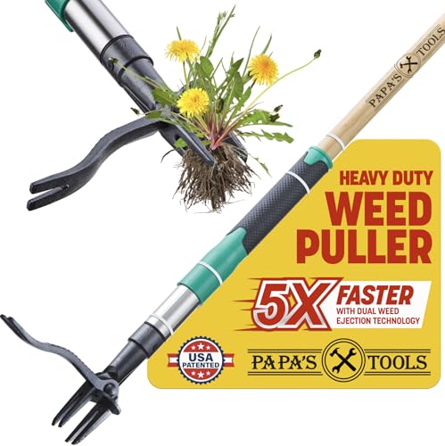 Papa's Tools Weed Puller Tool, 44" Stand Up Weeder Garden Tools & 4 Claw Steel Head, Dual Weed Eject Tech. Made with Real Bamboo & Long Wooden Handle, Yard Weeding Remover for Gardening Men & Women - color: Natural / Green