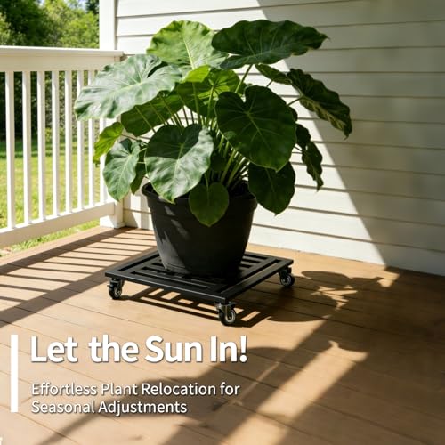 Plant Caddy with Wheels 2 Pack, 20'' Heavy Duty Large Rolling Plant Stand - size: 20''-2P