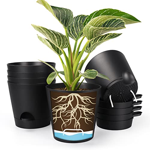 8 Inch Self Watering pots for Indoor, 6 Pack Plastic Plant Pots with Drainage Holes, Black