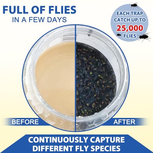 Reusable Fly Traps Outdoor Bottles & 10 Pack Fly Trap Bait Refills