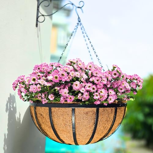 LaLaGreen Metal Hanging Baskets (18 in, 4 Pack) Black Coco Liner Plant Pots - size: 18" (46cm) x 4 Pack