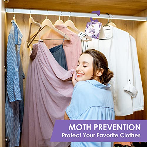 MothMag Clothes Moth Traps (6 Pack) – Pheromone Glue Traps for Wardrobes, Closets, Carpets & Fabrics – Trap for Wool, Cashmere & Silk - color: Purple