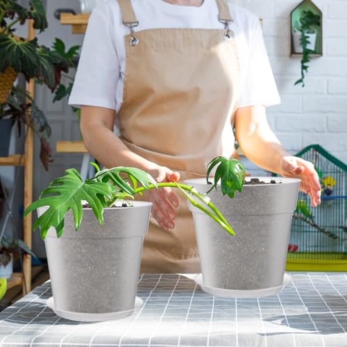 Baderke 3 Pack Clear Nursery Pot,9.25 Inches - size: 9.25 Inches