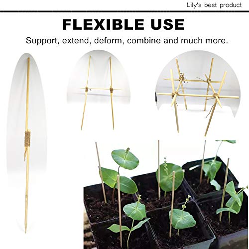 HOPELF 50 Pack 12" Bamboo Plant Stakes for Wood Garden Sticks，Wooden Plant Supports，Indoor Gardening Plant Supports，Floral Plant Support ，Potted Plants，Crafts, More Size Choices 8"/12"/16" - color: bamboo, size: 12 inch