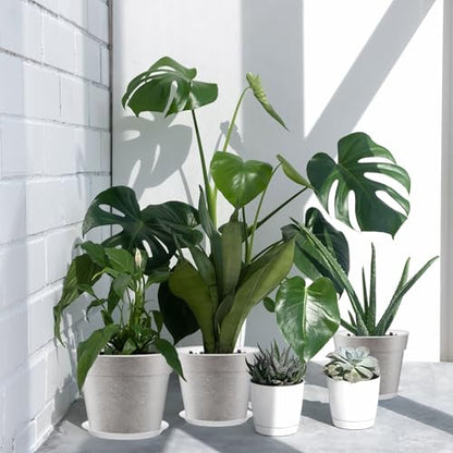 Baderke 3 Pack Clear Nursery Pot,13.65 Inch - size: 13.65 Inches