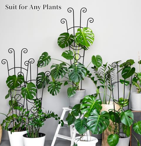 2 Pack 33 inch Plant Trellis for Climbing Plants Outdoor/Indoor, Expandable Large Metal Garden Trellis for Climber Plants, Sturdy Houseplant Support Stakes for Potted Vine Ivy Pothos Monstera - size: 33in/2Pack,Style 1