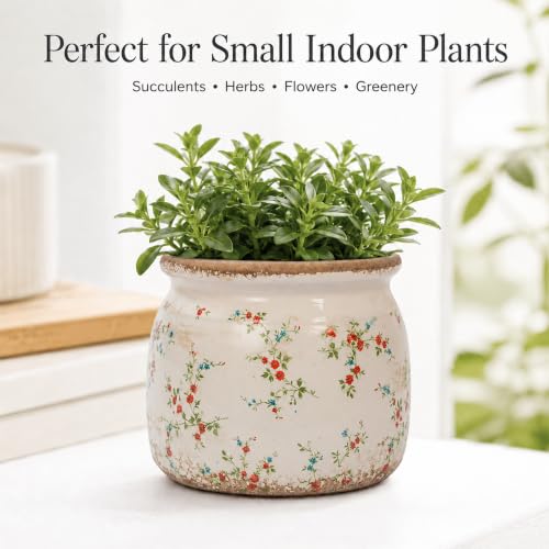 Dosayes Flower Pot,Vintage Ceramic Pot for Plant with Drainage Holes - color: Tiny Red