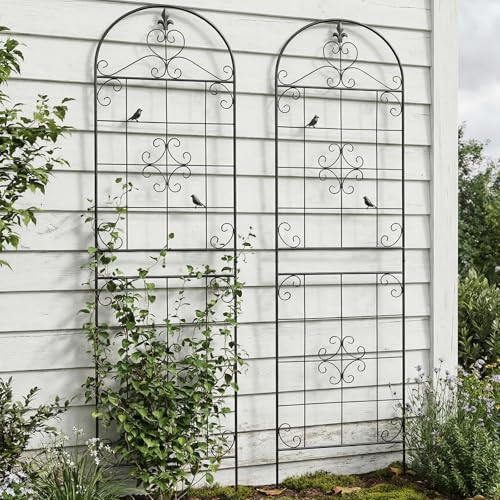70.8" Black Metal Garden Trellis for Climbing Plants, 2 Pack - color: Black