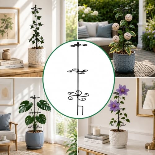 GOOXIM Monstera Support 24" Heavy Duty Black Plant Stakes for Indoor Growth - color: Black