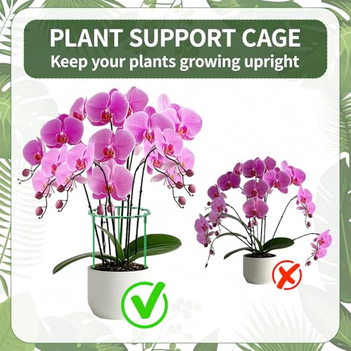 36 Pack Plant Support Stakes Sets - Versatile Plant Cages, Stackable Garden Flower Support， Small Plant Stakes for Indoor Plants,Tomato,Monstera, Peony, Hydrangea, Climbing Plants - size: 6.3*9.8IN（pack of 36)