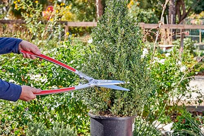 Corona Tools PrecisionCUT Aluminum Hedge Shear – Lightweight Hedge Clippers for Trimming Hedges, Shrubs & Bushes, Garden Landscaping Shears
