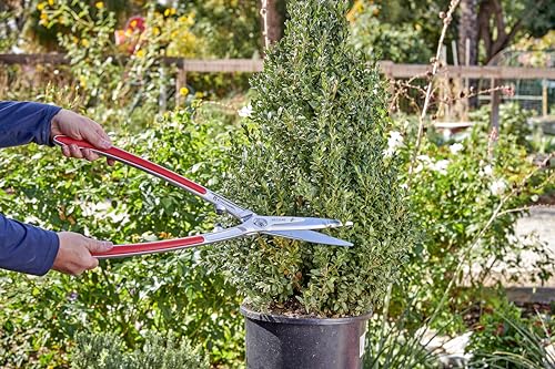 Corona Tools PrecisionCUT Aluminum Hedge Shear – Lightweight Hedge Clippers for Trimming Hedges, Shrubs & Bushes, Garden Landscaping Shears
