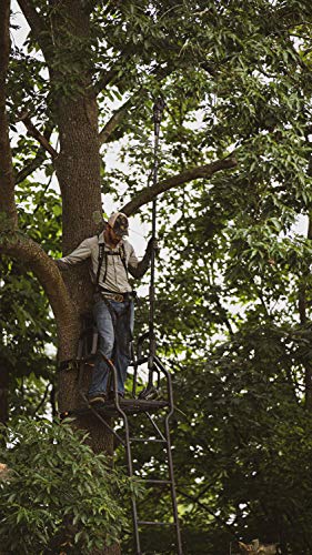 Hooyman Cordless 40 Volt Lithium Pole Saw with In-Line 8in Saw, Auto-Oiler, 40V Battery with Charge Indicator, Ergonomic Grip, and Carry Case for Cutting, Tree Trimming, Hunting, Camping, and Outdoors - style: Pole Extension