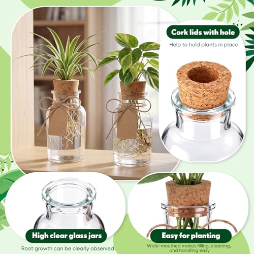 15 Pack Plant Propagation Stations with Hole Lid Tag,Cylindrical
