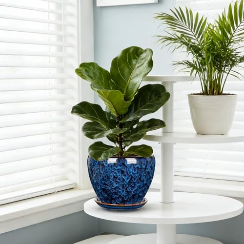 Hollyone 7inch Ceramic Planter Blue Ceramic Plant Pot for Plants Flowers with Drainage Hole and Saucers Ceramic Glaze Round Flower Plant Pot for Indoor Outdoor Medium Round Succulent Orchid Flower Pot - size: 7 Inch (Single)