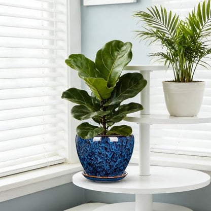 Hollyone 7inch Ceramic Planter Blue Ceramic Plant Pot for Plants Flowers with Drainage Hole and Saucers Ceramic Glaze Round Flower Plant Pot for Indoor Outdoor Medium Round Succulent Orchid Flower Pot - size: 7 Inch (Single)
