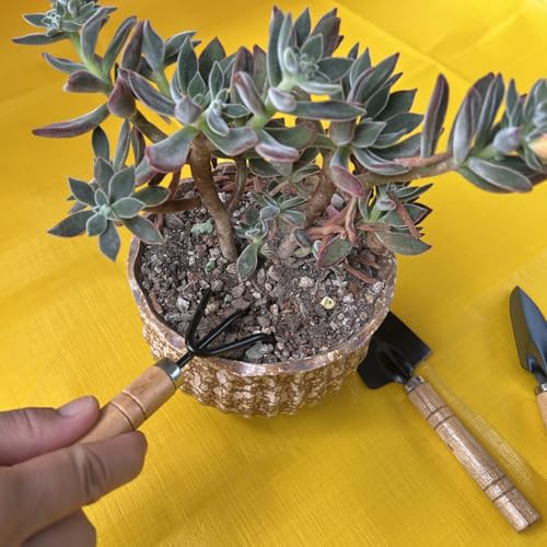 Kids Gardening Tools Set, 3-Piece Shovel Trowel Rake Kit