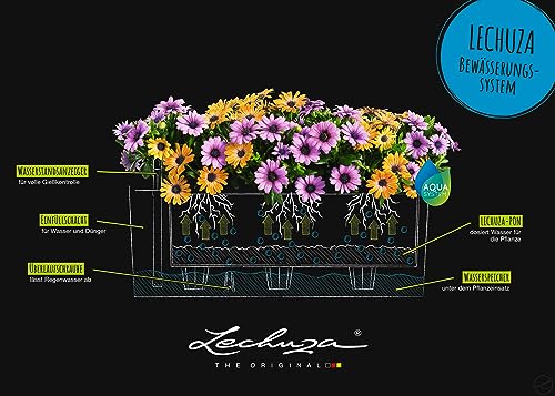 Lechuza BALCONERA Color 50 Slate, Self-Watering Window Box (Railing Planter), H7.5 L19.7 W7.5 in - color: Slate Matte, size: 50 cm, style: 50