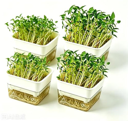QISHENG - 4 Pack Microgreens Grow Kit,Soil-Free Cultivation Germination Tray,BPA-Free Indoor Sprouting Kit for Growing Bean Sprouts/Organic Seeds/Broccoli/Alfalfa/Radish/Clover (Beige)