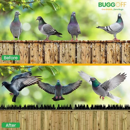 BUGGOFF - Bird & Rodent Spikes, Unique Spike Pattern effecitviely deteres Pesky Pigeons, Squirrels, Raccoons. Installs on Fences, Gates, Roofs, Walls and More! (13 Feet, White Plastic) - color: White Plastic