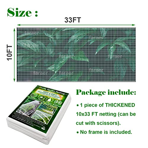 Garden Pest Barrier Netting, Thickened Mesh Net Bugs Out Plant Covers 10x33Ft Ultra Fine Protection Netting for Vegetable Plants Fruit Flowers Greenhouse Row Cover Raised Bed Insect Barrier Screen Net - size: 10x33ft Reinforced Netting