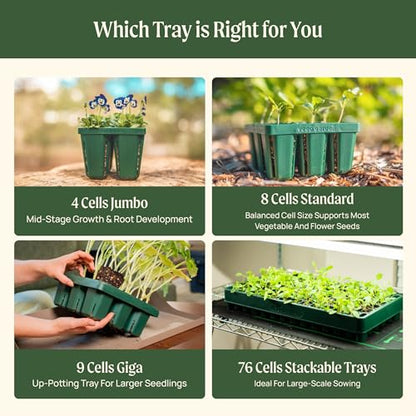 Vego garden 10"" x 20"" 76 Cells Seed Starter Tray Stackable Seedling Starting Germination Trays for Plants Planting Vegetables Herbs Flowers, Green