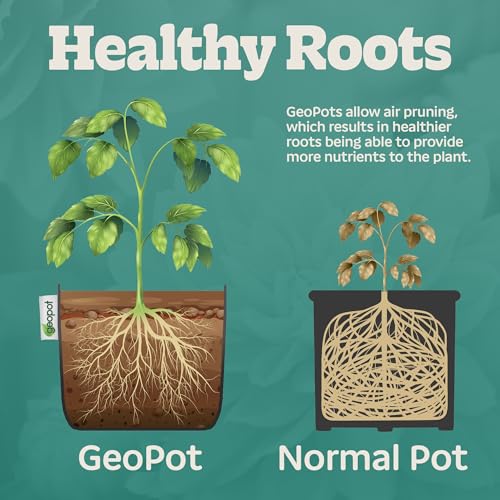 GeoPot 7 Gallon Fabric Grow Bags for Vegetables, Houseplants, Herbs & Flowers |5-Pack| Fabric Pots for Outdoors and Indoors, Aerated Fabric Grow Bags - size: 7 Gallon (5-Pack), style: No Handles