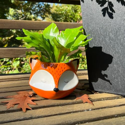 Streamline Imagined Ceramic Orange Fox Planter, Drainage Hole, Orange - color: Fox