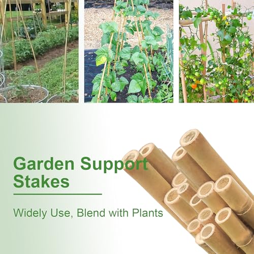Garden Stakes 7FT, Natural Bamboo Stakes 7 Feet, 3/4" D Thicker Heavy Duty Plants Stakes 15 Pack for Tomatoes, Beans, Flowers, Potted and More Climbing Plants - size: 7FT, pack of 15